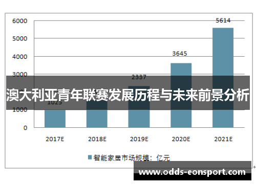 澳大利亚青年联赛发展历程与未来前景分析