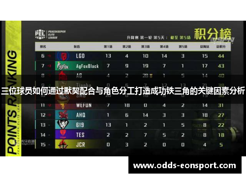 三位球员如何通过默契配合与角色分工打造成功铁三角的关键因素分析