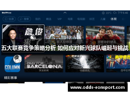 五大联赛竞争策略分析 如何应对新兴球队崛起与挑战