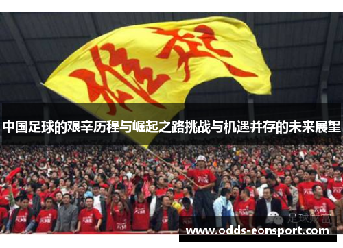 中国足球的艰辛历程与崛起之路挑战与机遇并存的未来展望