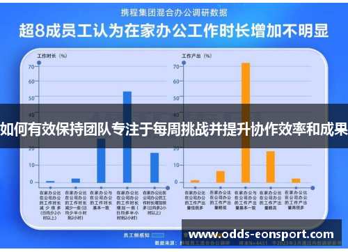 如何有效保持团队专注于每周挑战并提升协作效率和成果