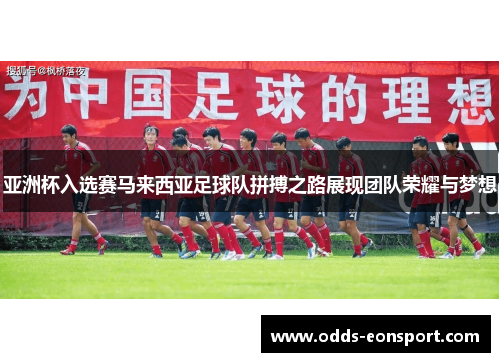 亚洲杯入选赛马来西亚足球队拼搏之路展现团队荣耀与梦想