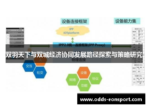 双羽天下与双城经济协同发展路径探索与策略研究