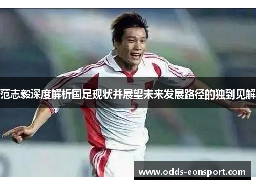 范志毅深度解析国足现状并展望未来发展路径的独到见解